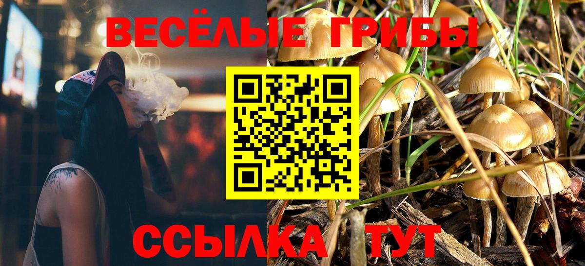 Псилоцибиновые грибы мицелий Чебоксары