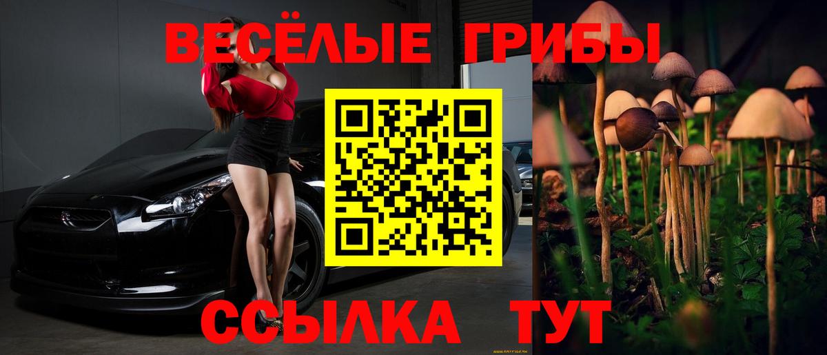 Чебоксары  закладки  Вход с VPN  Псилоцибиновые грибы Psilocybine cubensis 